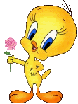 Gifs animés titi